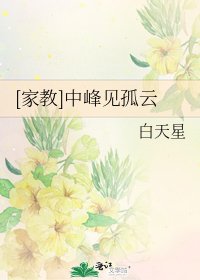 [家教]中峰见孤云